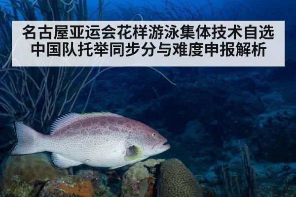 名古屋亚运会花样游泳集体技术自选 中国队托举同步分与难度申报解析 | nine game