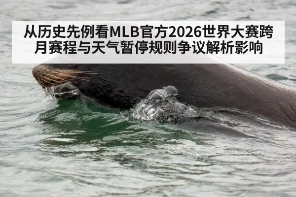 从历史先例看MLB官方2026世界大赛跨月赛程与天气暂停规则争议解析影响 | nine game